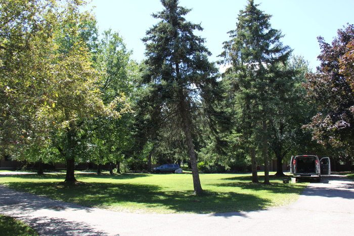 University of Toronto, Mississauga campus